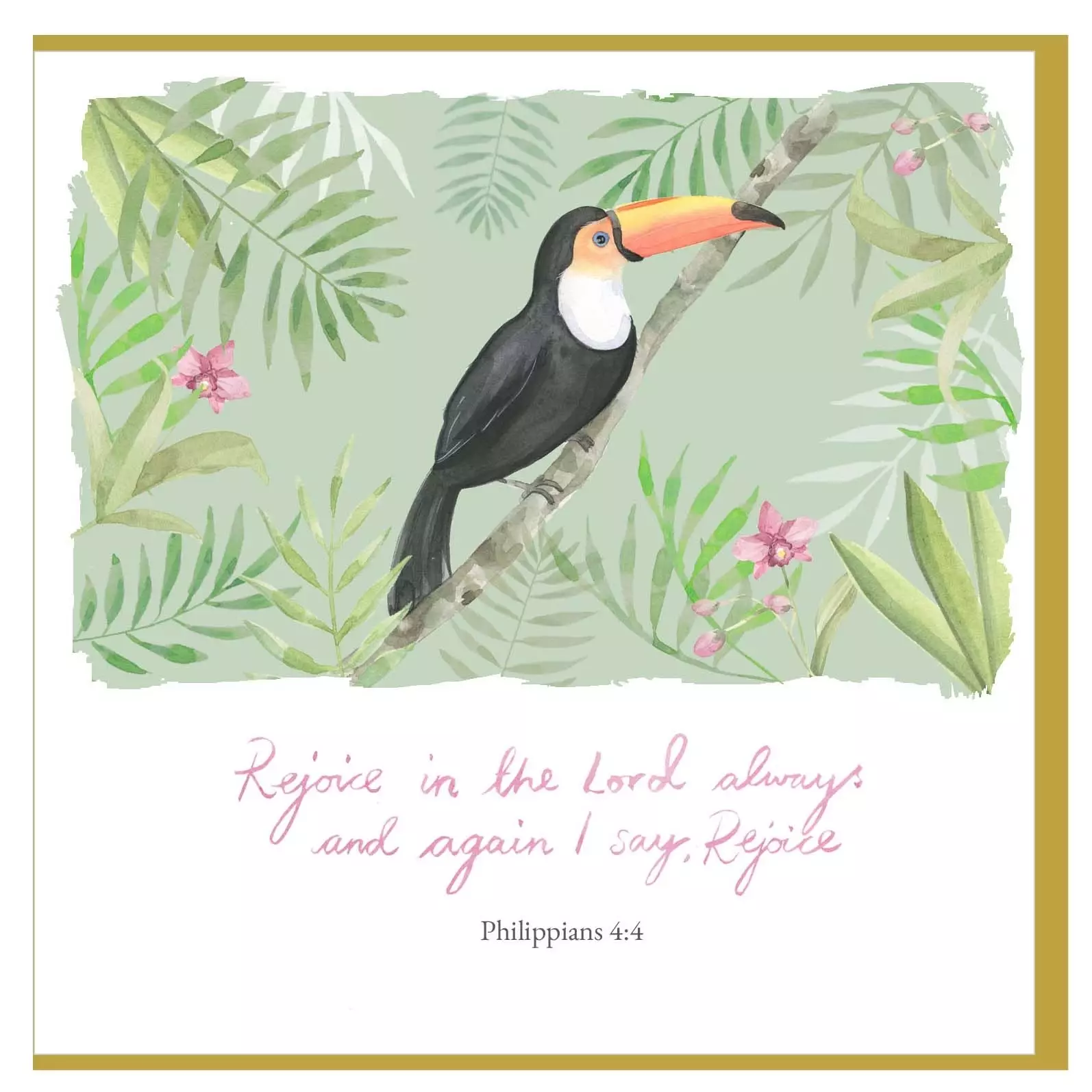 Toucan Encouragement Single Card