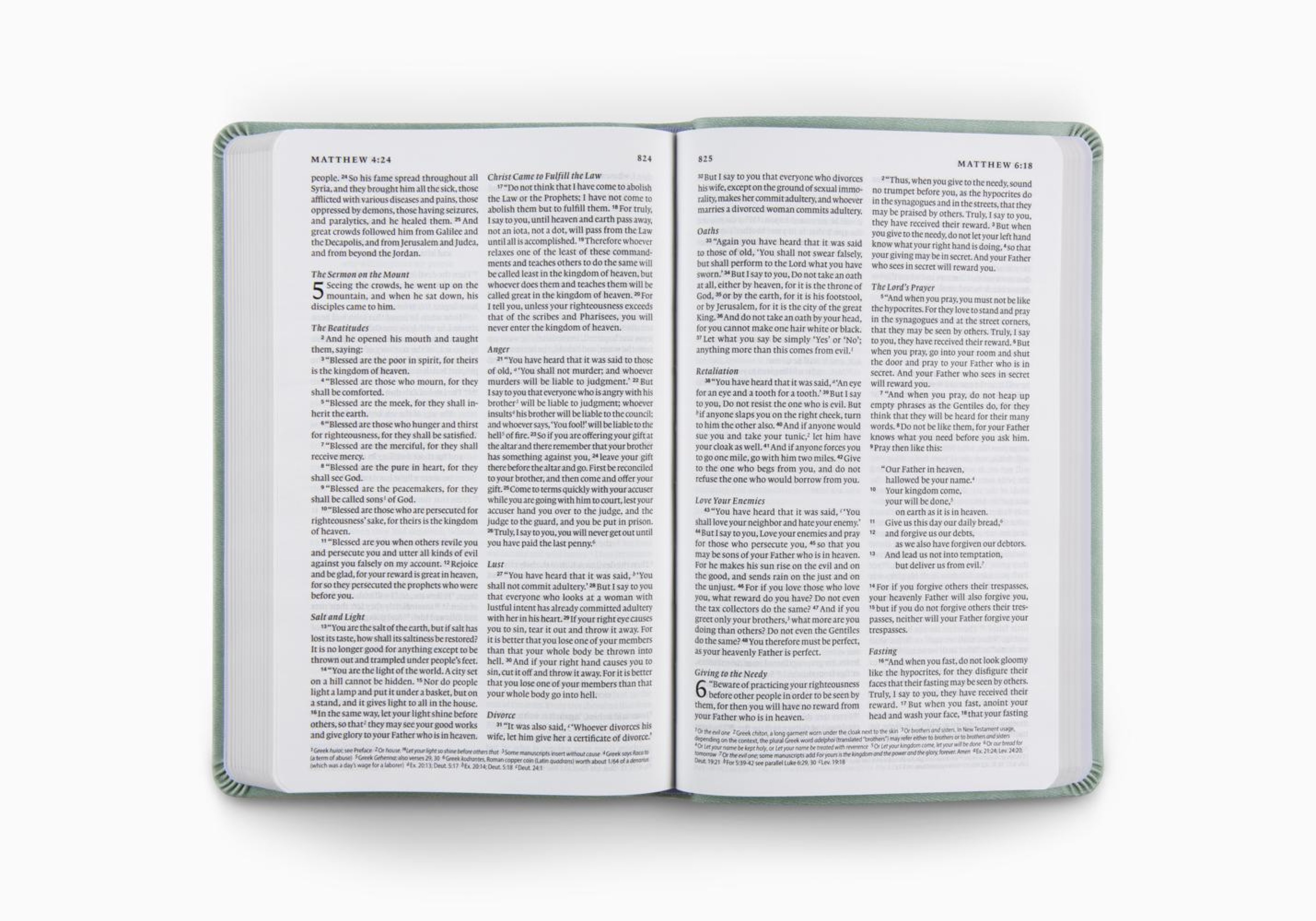 ESV Value Thinline Bible (TruTone, Paris Sky, Fleur-de-lis Design)
