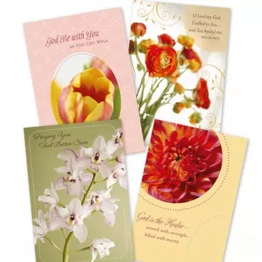 Get Well - Budding Hope - 12 Boxed Cards
