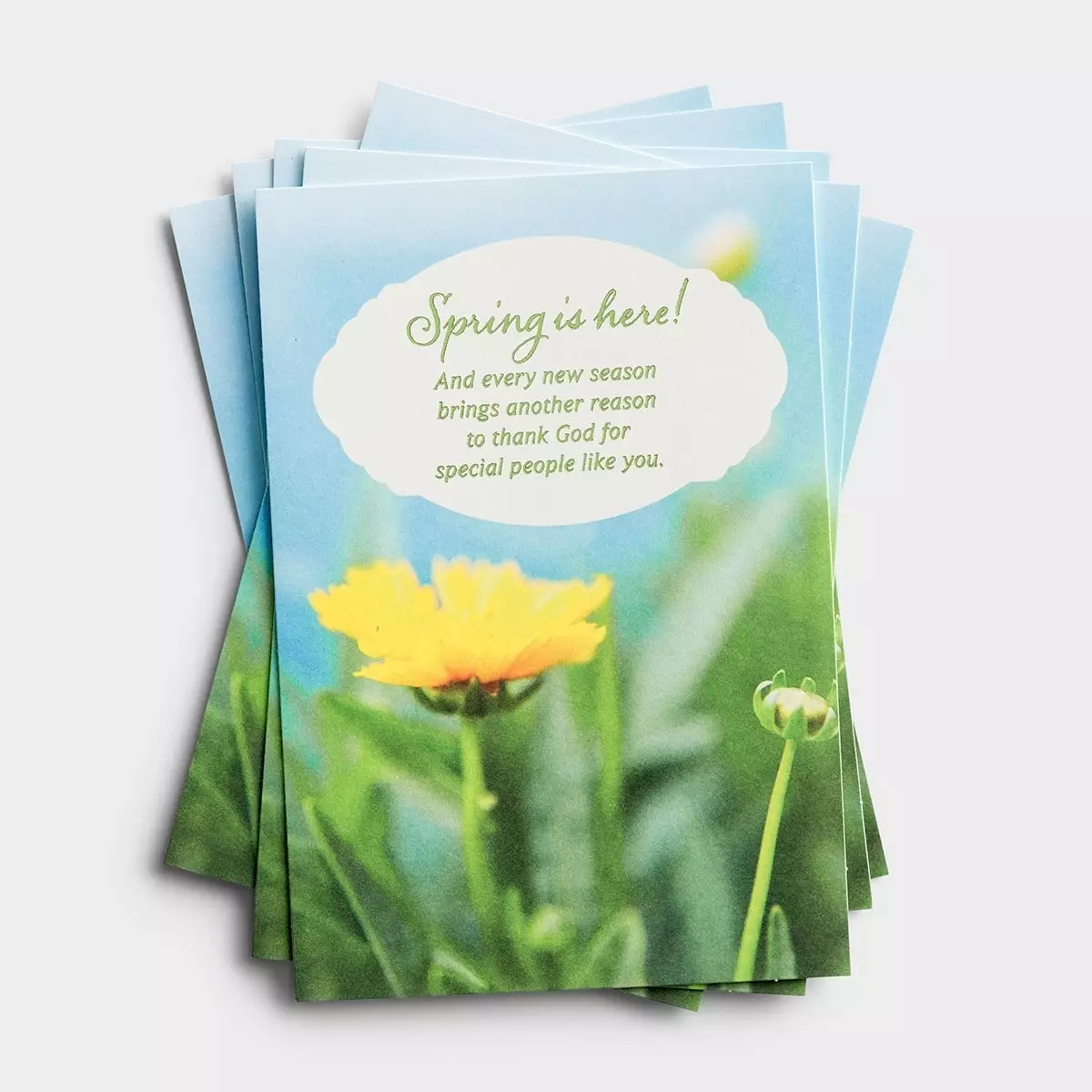 Easter - Spring Is Here - 6 Note Cards