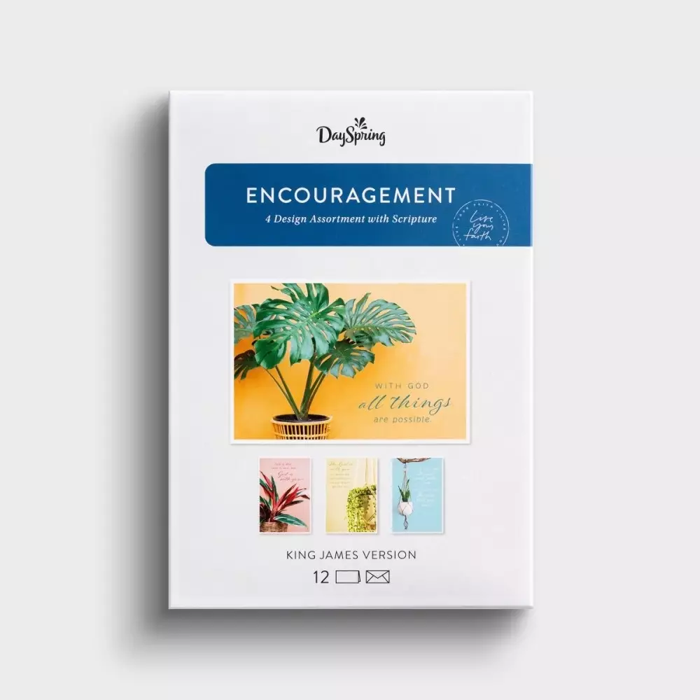 House Plants Box of 12 Encouragement Cards