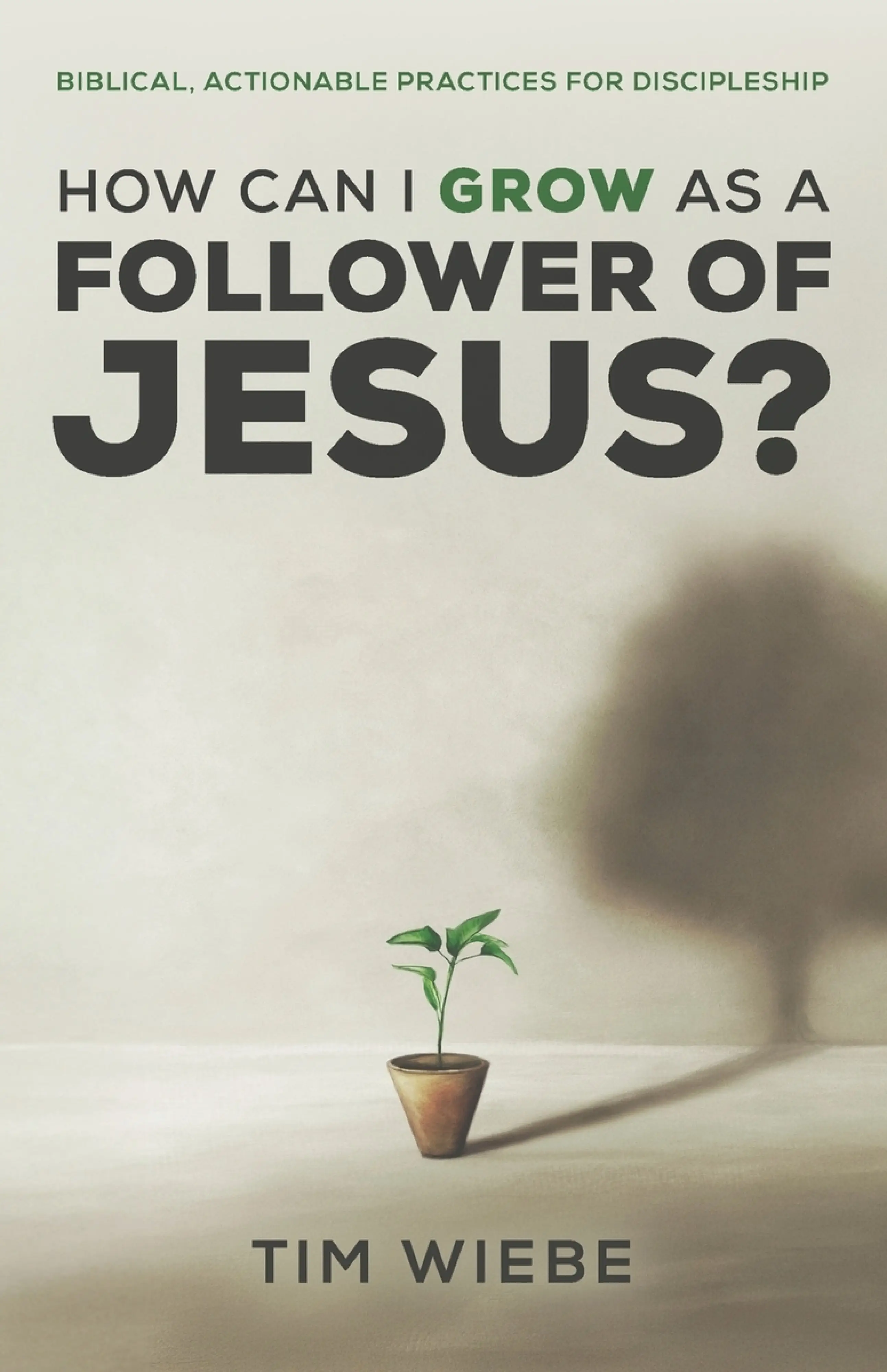 How Can I Grow as a Follower of Jesus?: Biblical, Actionable Practices ...