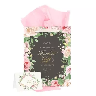 Gift Bag w/ Card LG Portrait Gray/Pink Every Good & Perfect Gift James 1:17