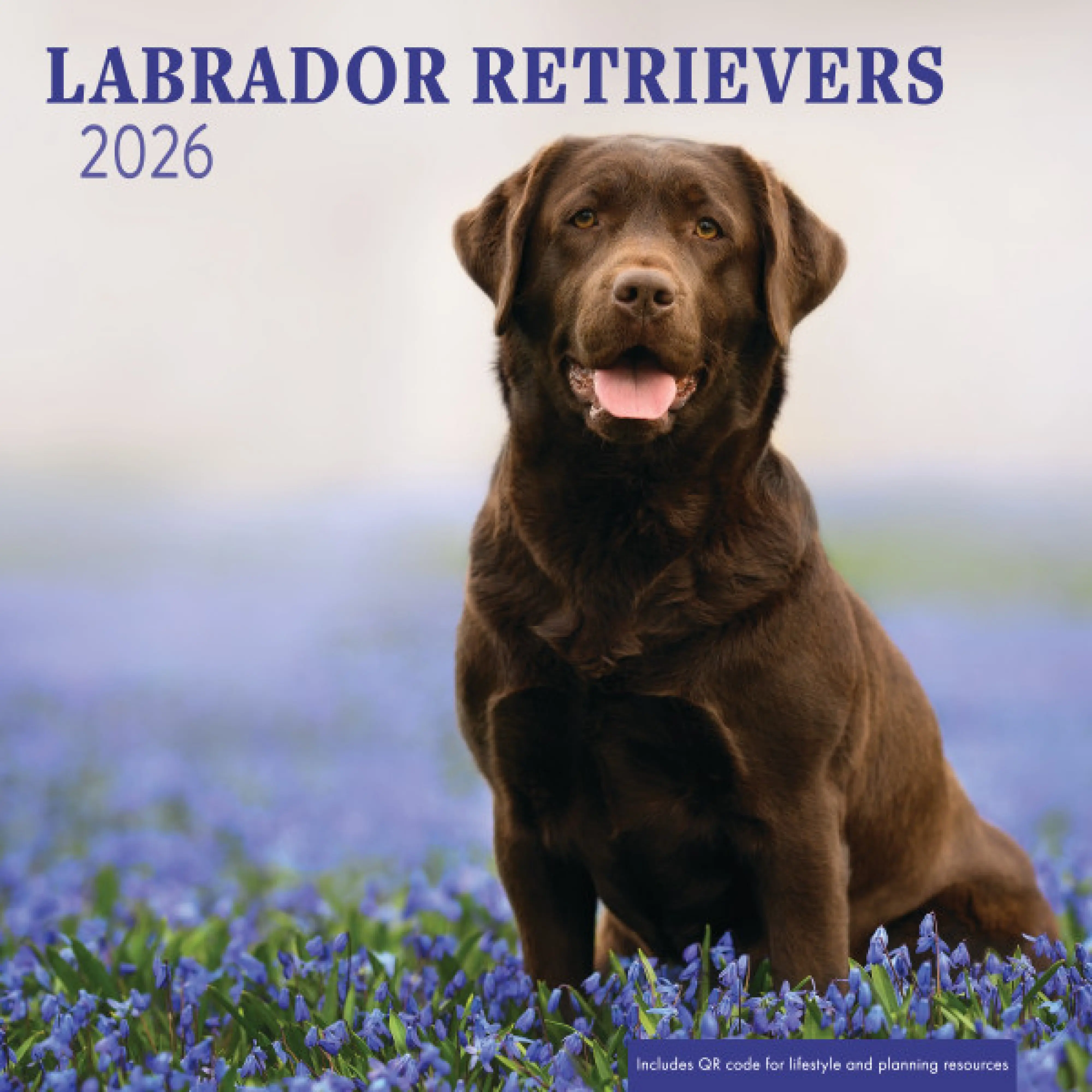 Labrador Date Labrador Retrievers Wall Calendar - NO SCRIPTURE: Free Delivery at Eden ...