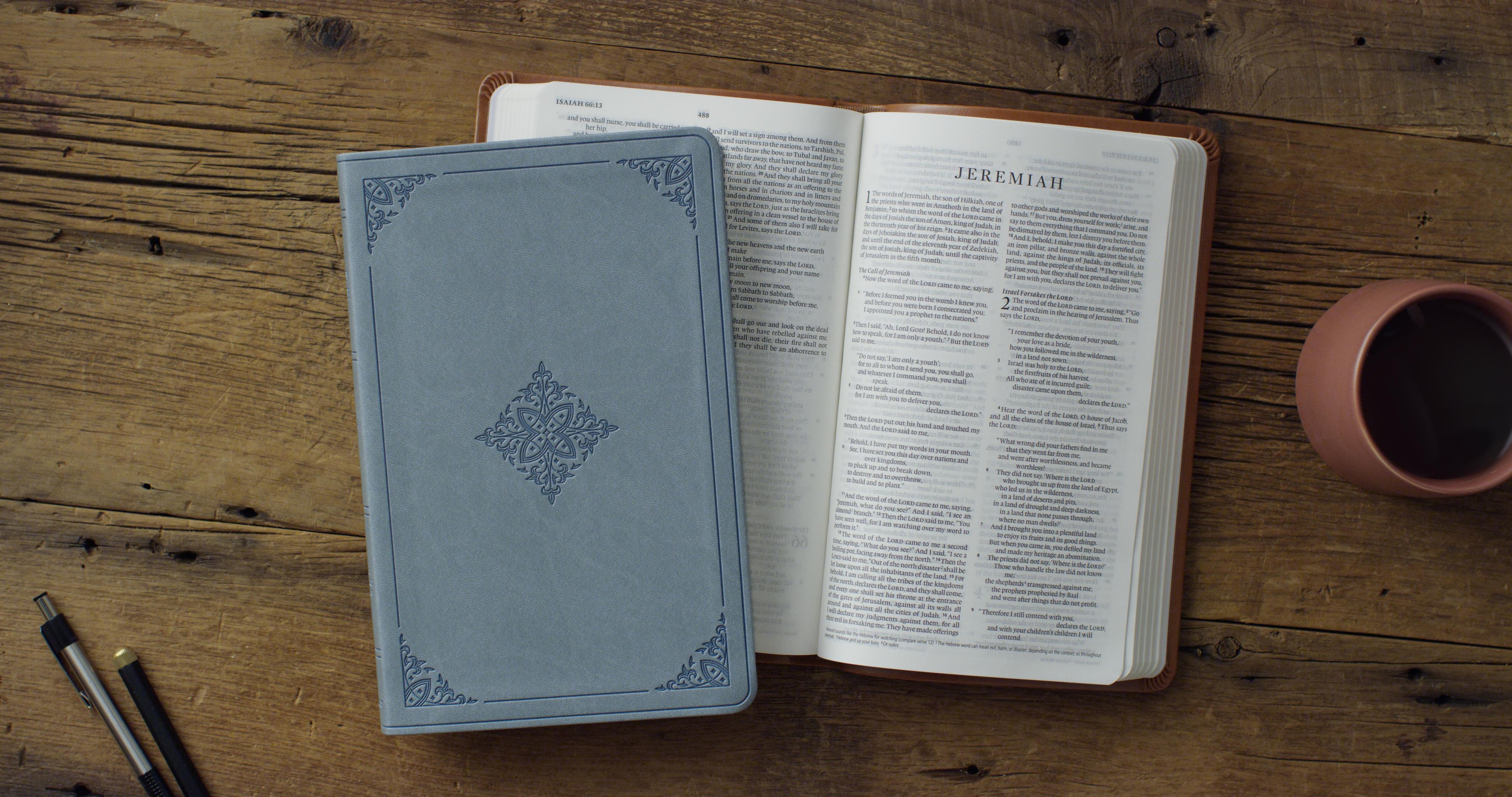 ESV Value Thinline Bible (TruTone, Paris Sky, Fleur-de-lis Design)