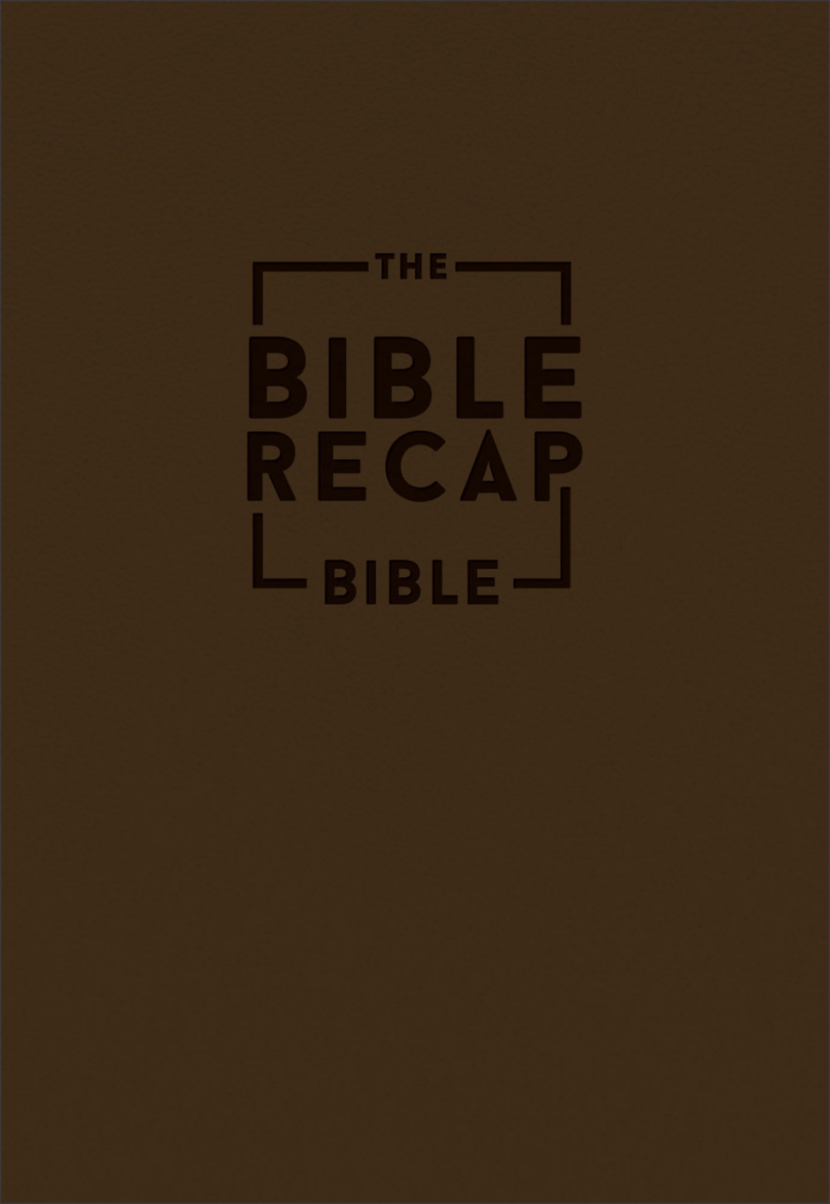 The Bible Recap 365-Day Chronological Study Bible