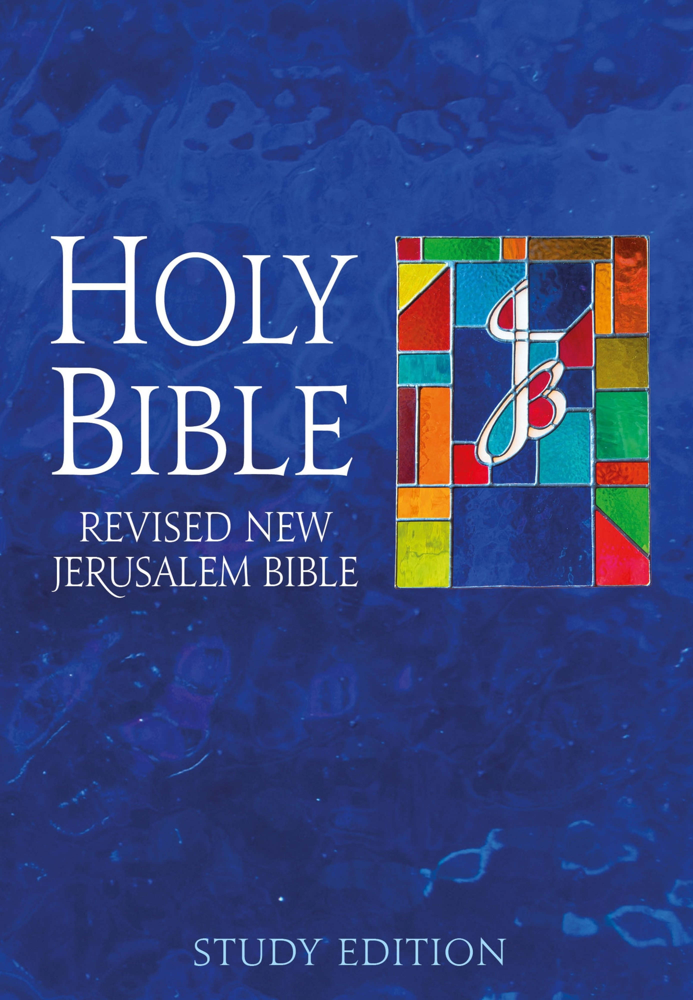 The Revised New Jerusalem Bible Study Edition, Hardback, Maps