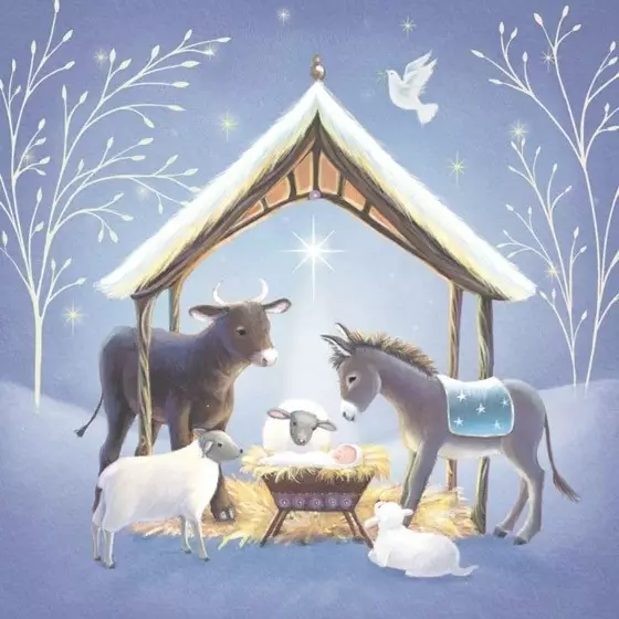 Christmas Cards: Baby Jesus Nativity (Pack of 4)