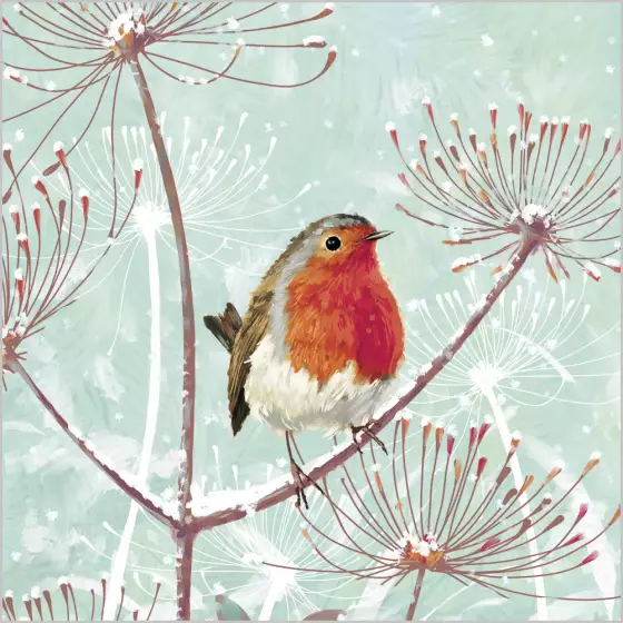 Christmas Cards: Robin On Branch (Pack of 4)