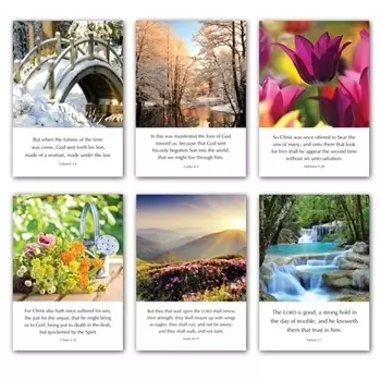 Greetings Cards: L series (mixed pack of 6)