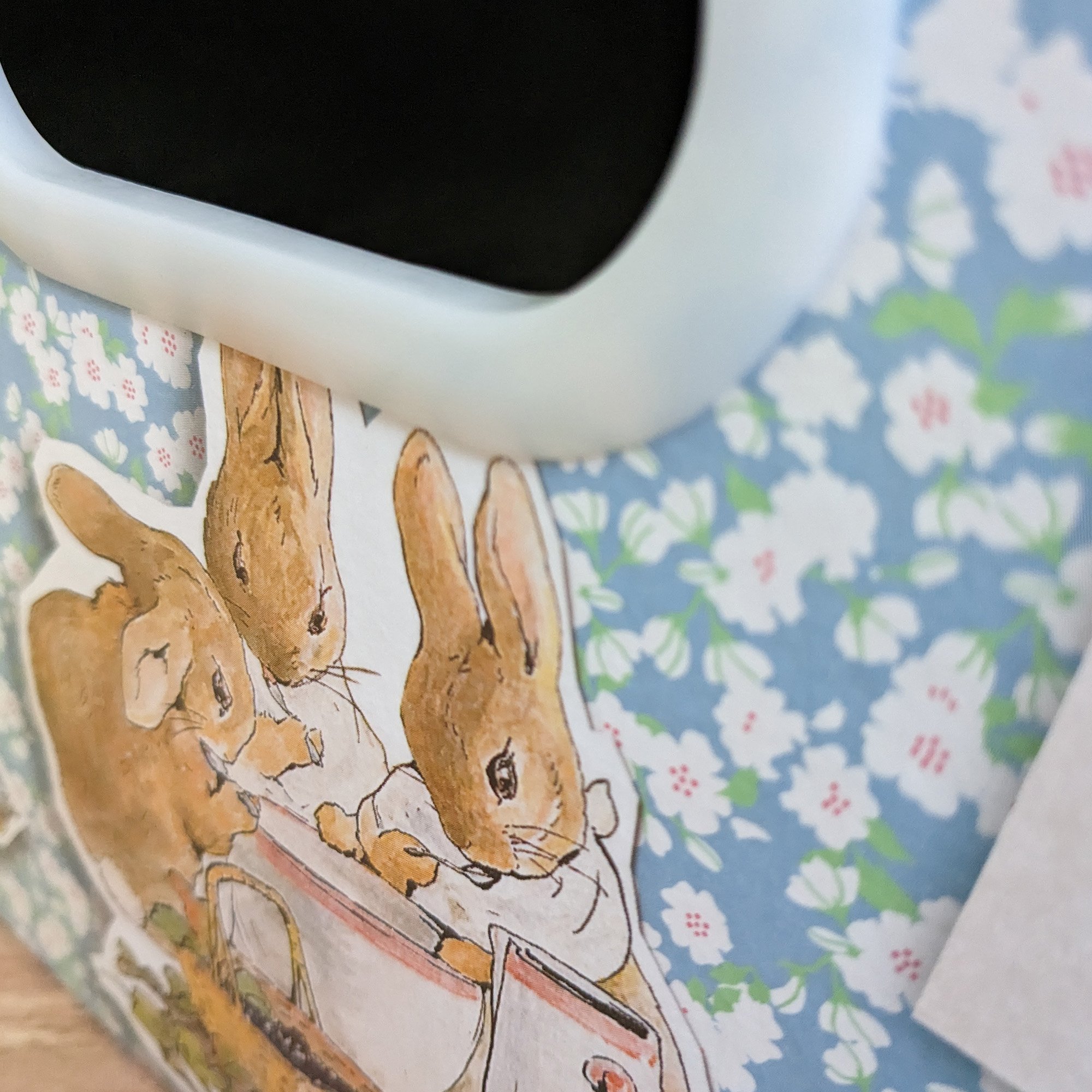 Collapsible Storage Box - Peter Rabbit Pin Up: Free Delivery