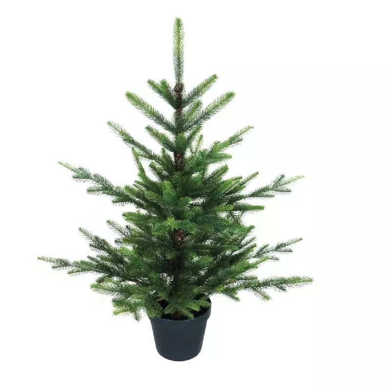 3' Potted Nordman Fir With Weighted Pot Base