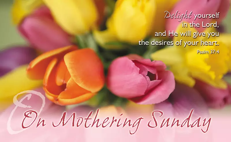 On Mothering Sunday Tulips Postcards - Pack of 24