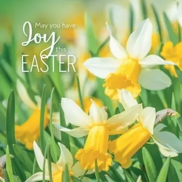 Joy Easter Cards Pack of 5