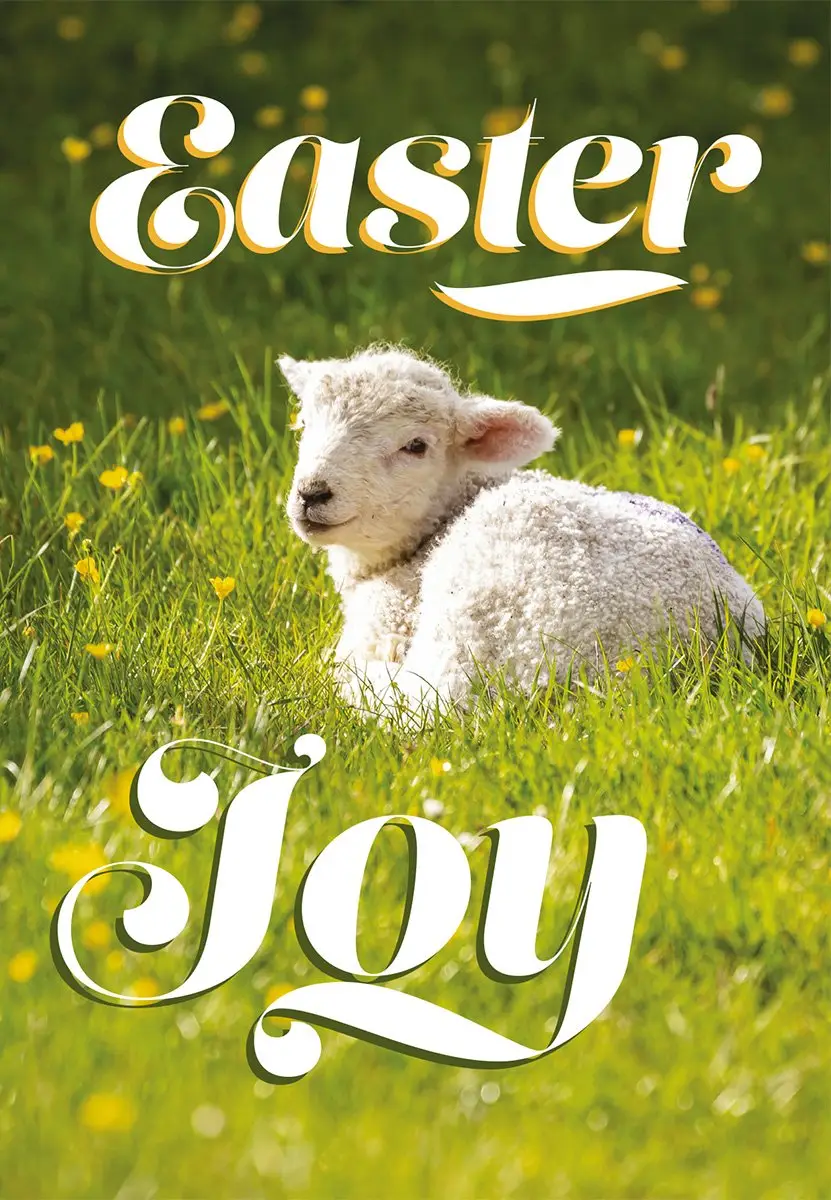 Easter Joy Lamb Charity Easter Cards Pack of 5: Free Delivery when you ...