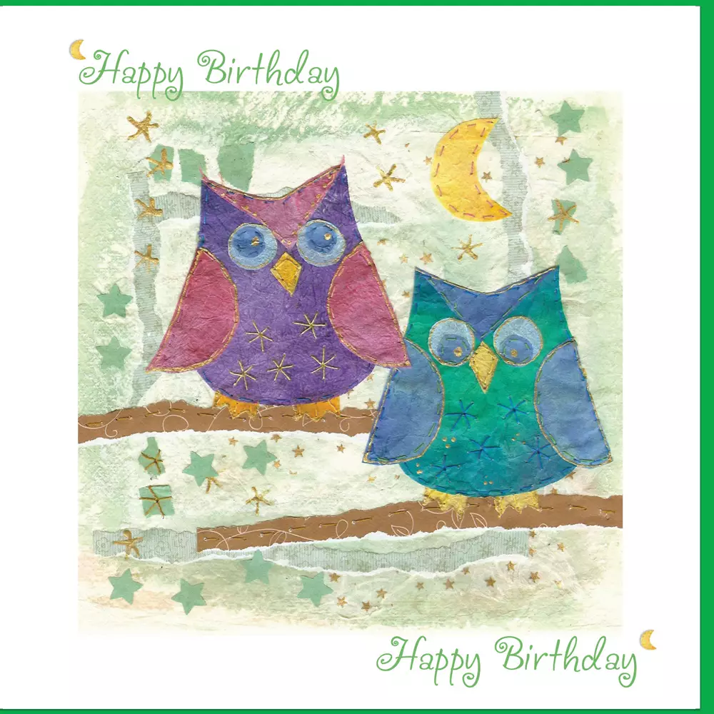 Birthday Owls Greetings Card
