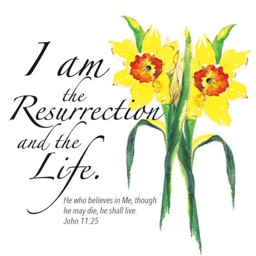 I Am the Resurrection Pack of 5 Easter Cards 5060427971852 | Eden