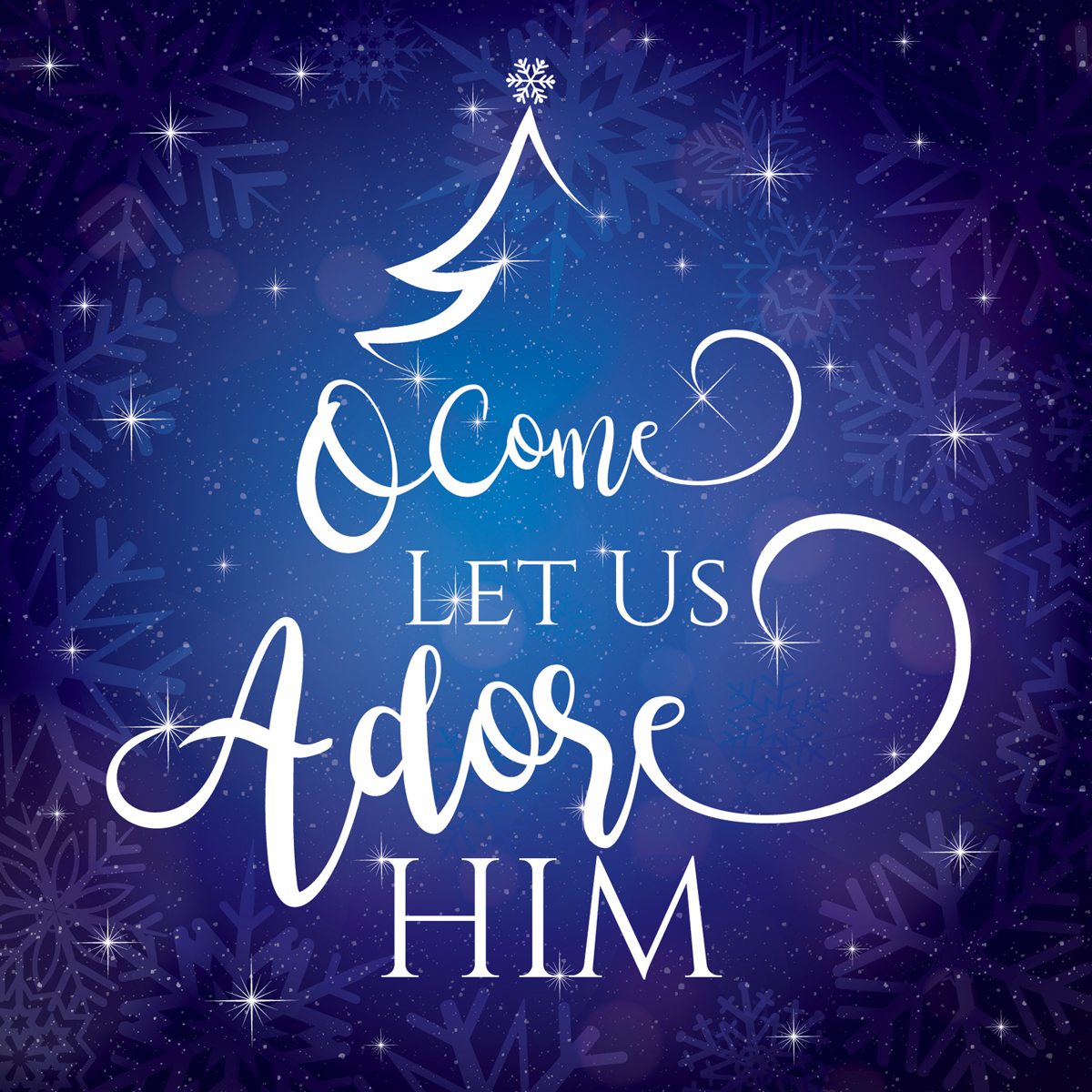 Oh Come Let Us Adore Him Christmas Card 