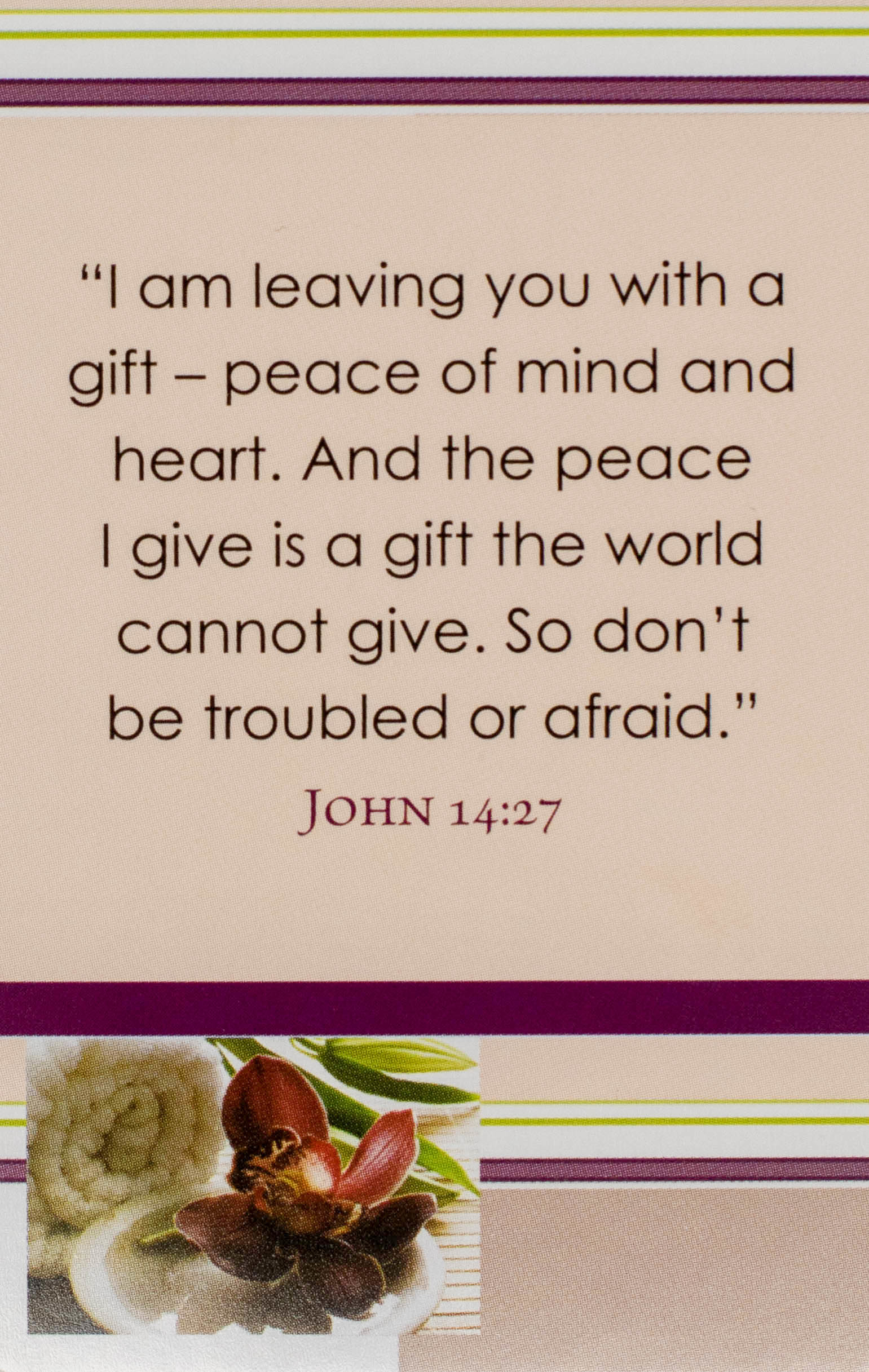 101 Favourite Bible Verses for Women Box of Blessings Eden.co.uk