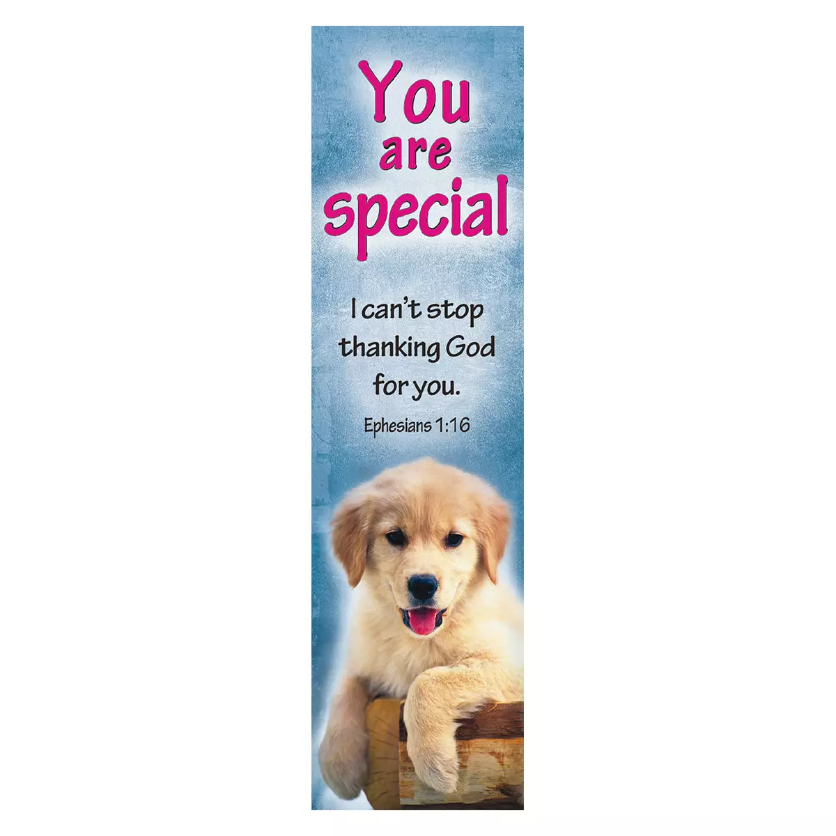 "You are Special" Sunday School/Teacher Bookmark Set - Ephesians 1:16