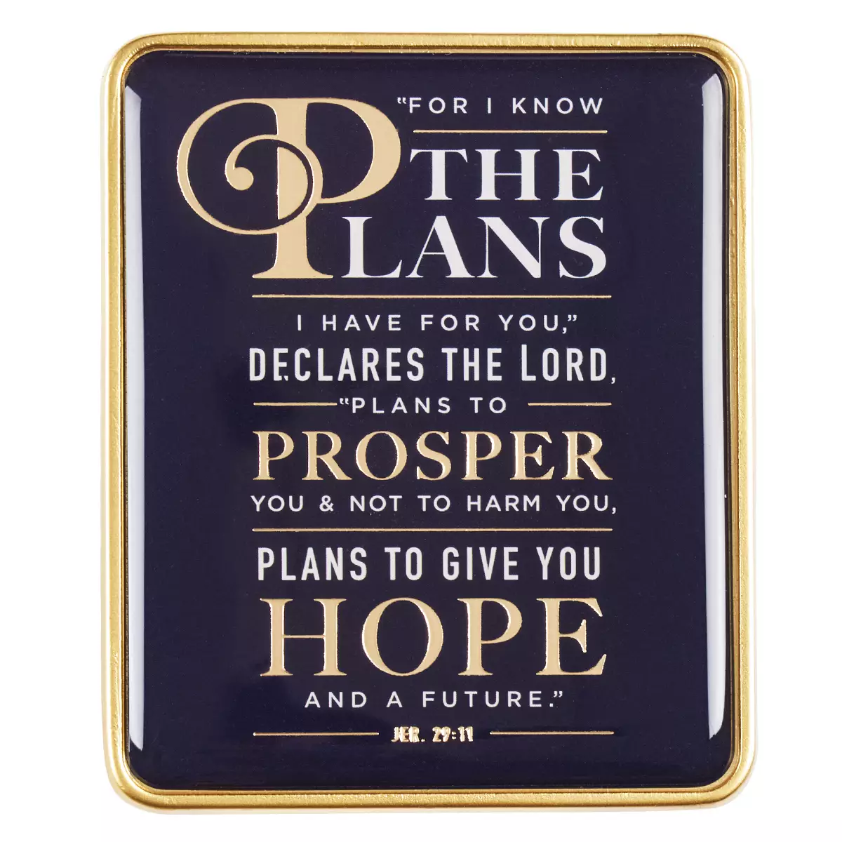 Visor Clip: For I Know the Plans - Jeremiah 29:11