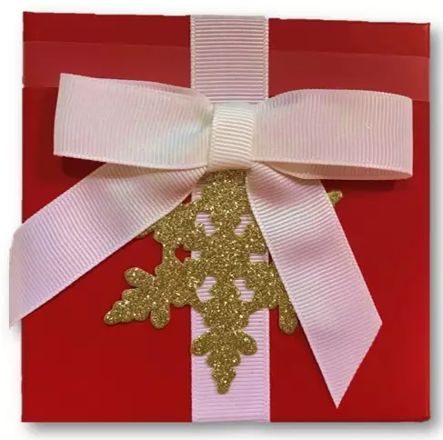 Glitter Snowflake Red Boxed Card Holder