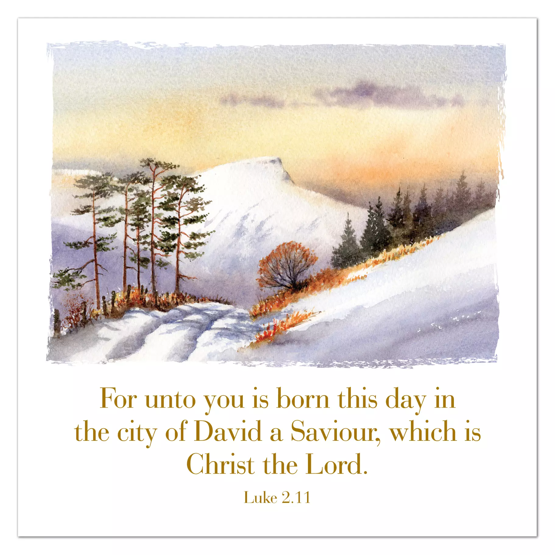 Greetings Cards - 'For unto you is born...' Lu. 2.11