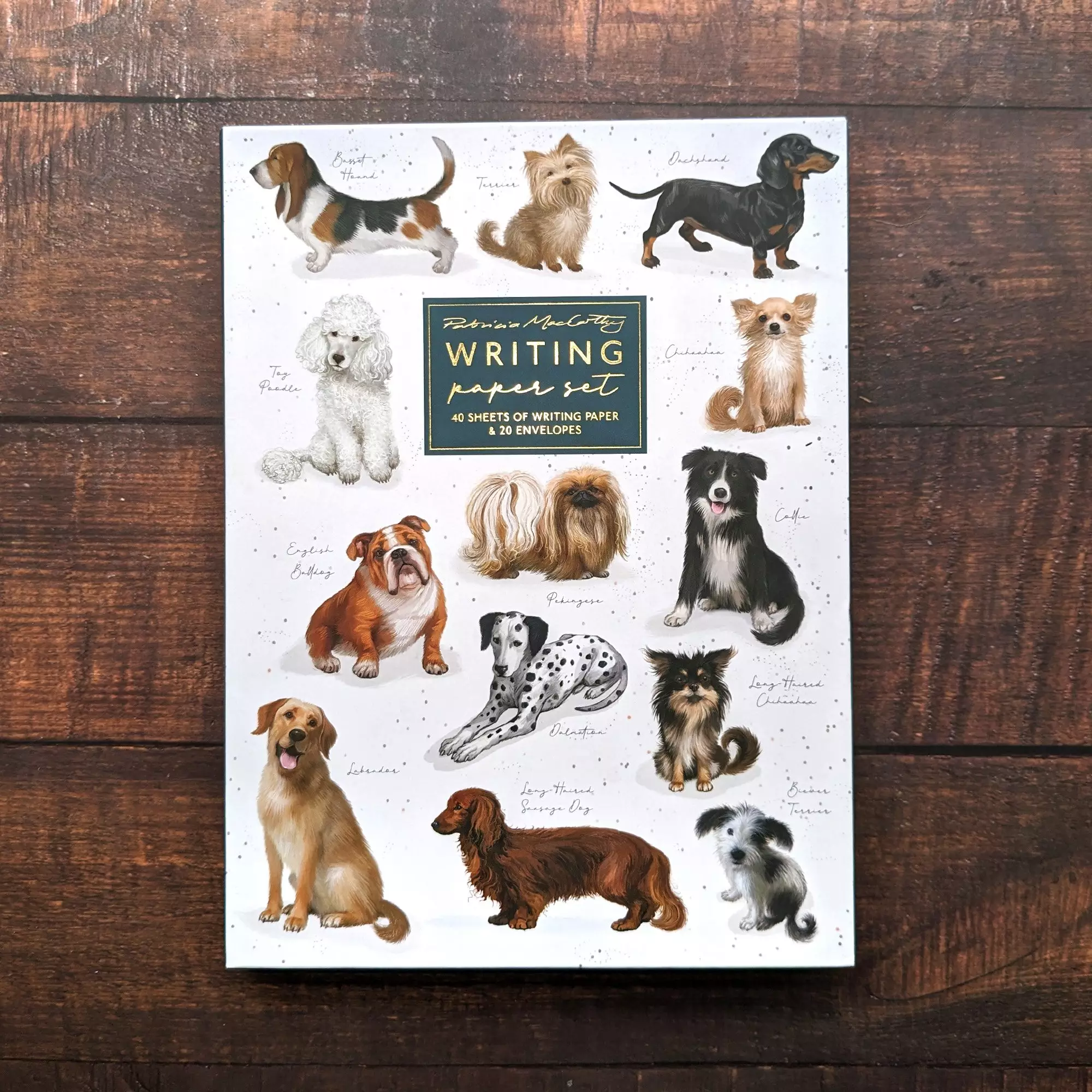 Foldover Writing Paper Set - Patricia Maccarthy Dogs