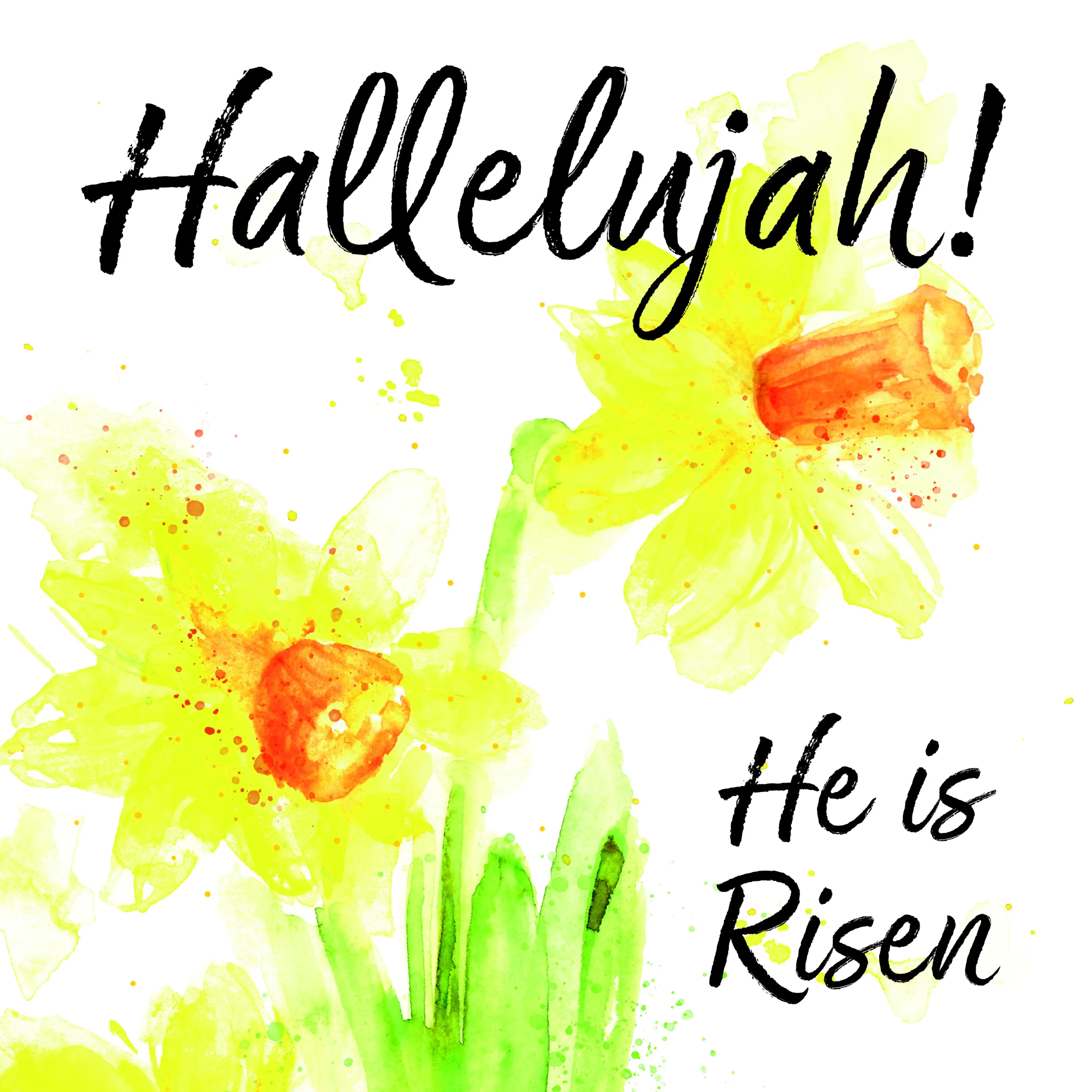 Easter Daffodils Easter Cards - Pack of 5: Free Delivery when you spend ...
