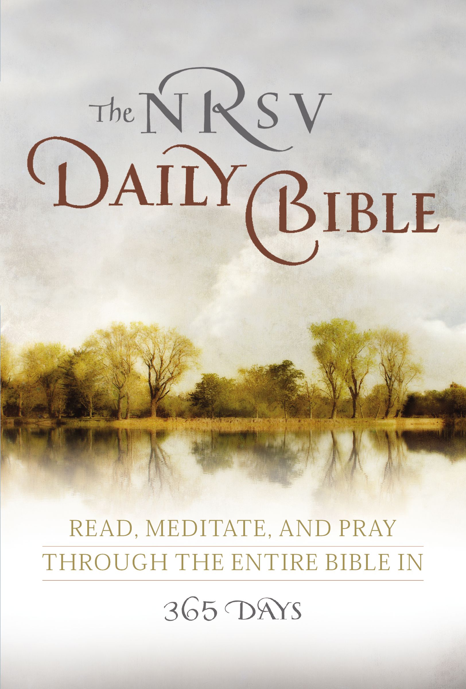 NRSV Daily Bible White Paperback One-Year Reading Plan Devotional