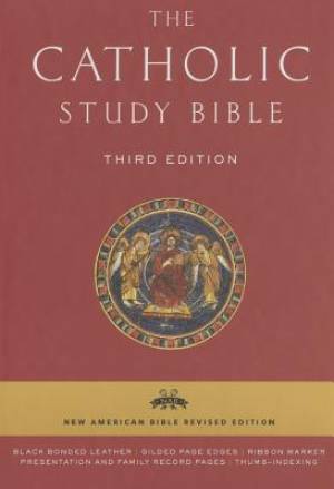 The Catholic Study Bible By Senior Donald Collins John Getty Mary Ann The Catholic Study Bible By Senior Donald Collins John Getty Mary Ann