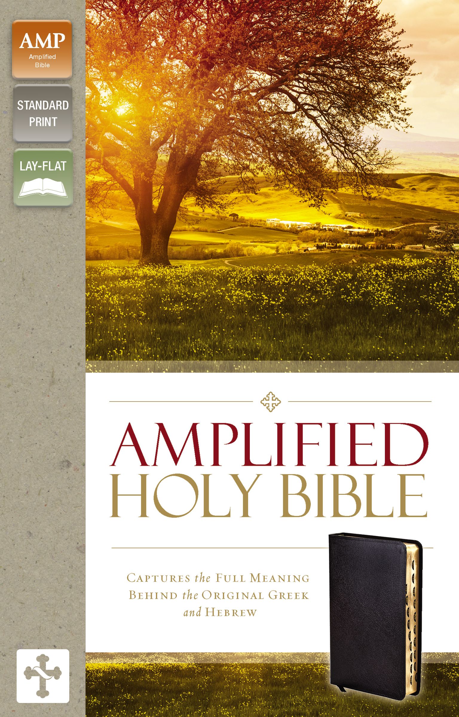 Amplified Thinline Holy Bible Thumb Indexed, Silver Edges Free