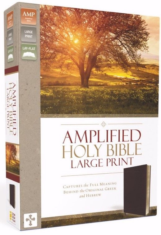Amplified Large Print Holy Bible Burgundy, Bonded Leather, Thinline