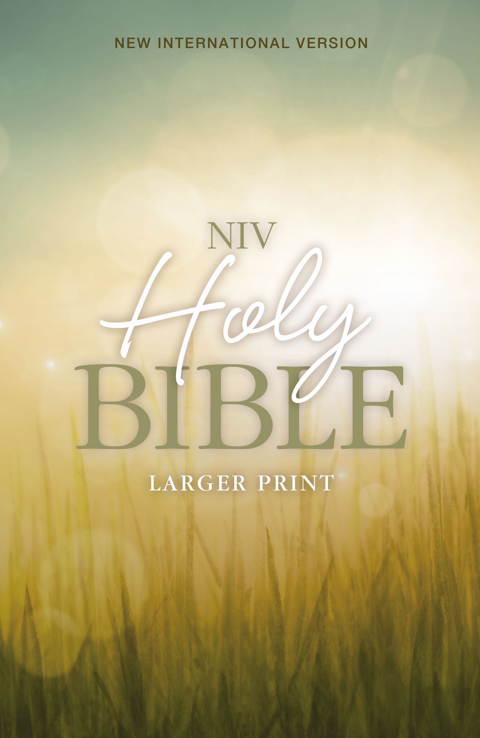 Holy BibleNIV Free Delivery when you spend £10 Eden.co.uk