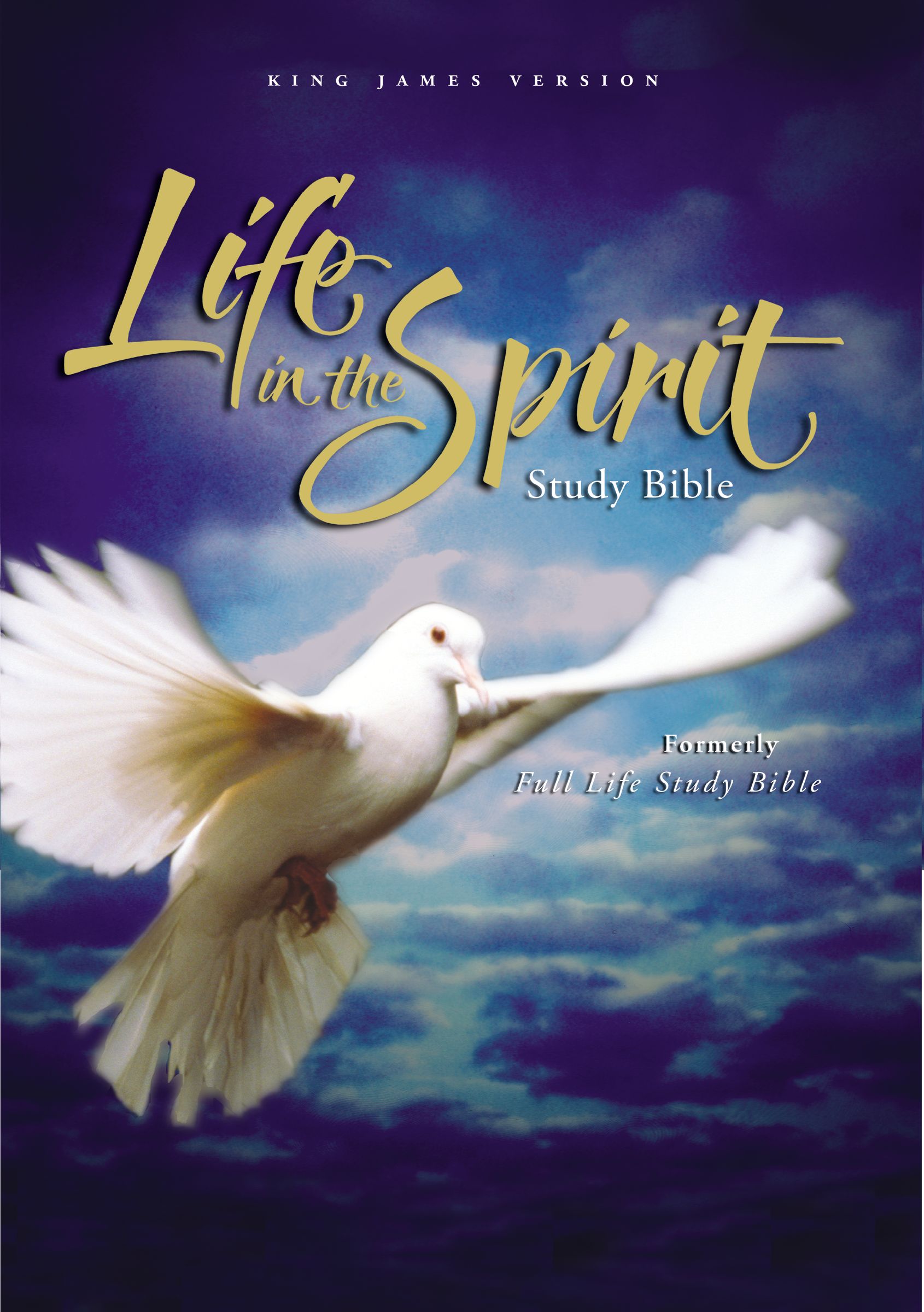 KJV Life in the Spirit Study Bible: Black, Bonded Leather - Formerly Full Life Study KJV Life in the Spirit Study Bible: Black, Bonded Leather - Formerly Full Life Study