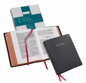 ESV Wide Margin Reference Bible: Black, Goatskin Leather