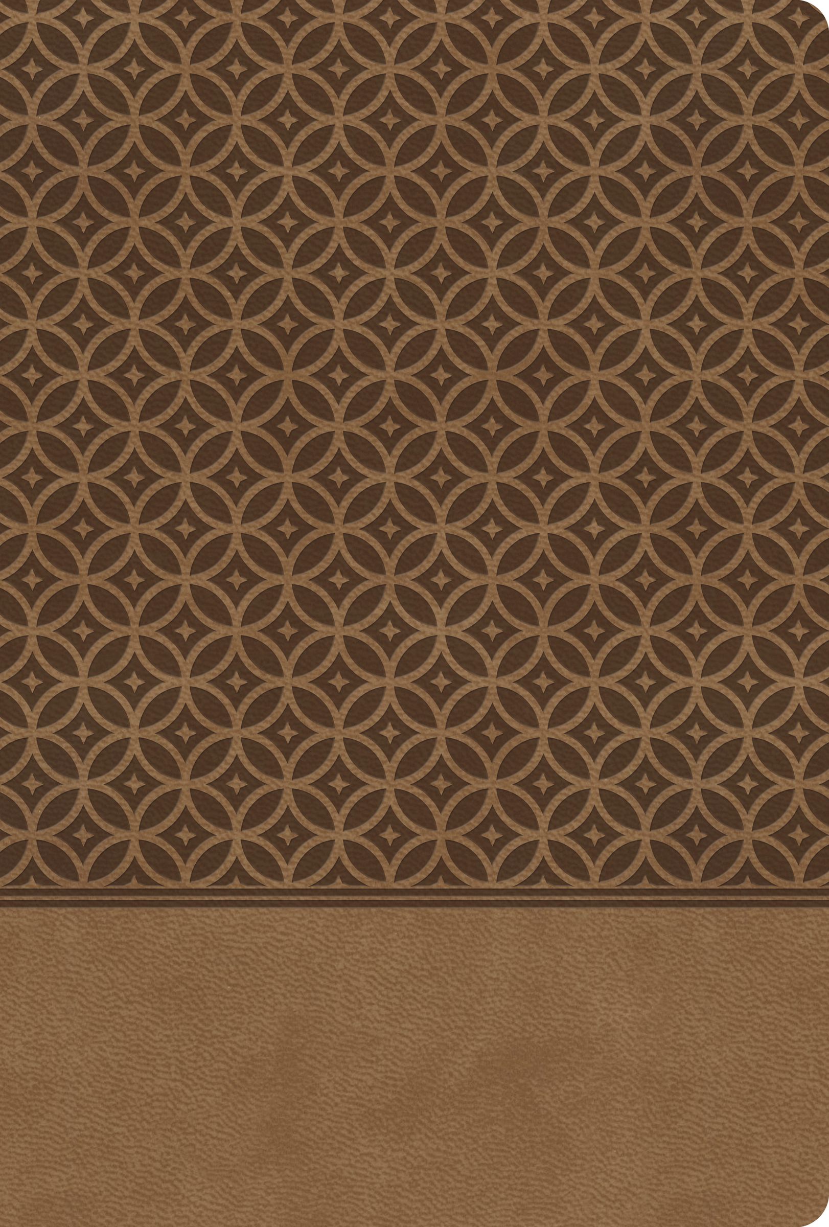 King James Study Bible Tan Indexed By Thomas Nelson (Leather) King James Study Bible Tan Indexed By Thomas Nelson (Leather)