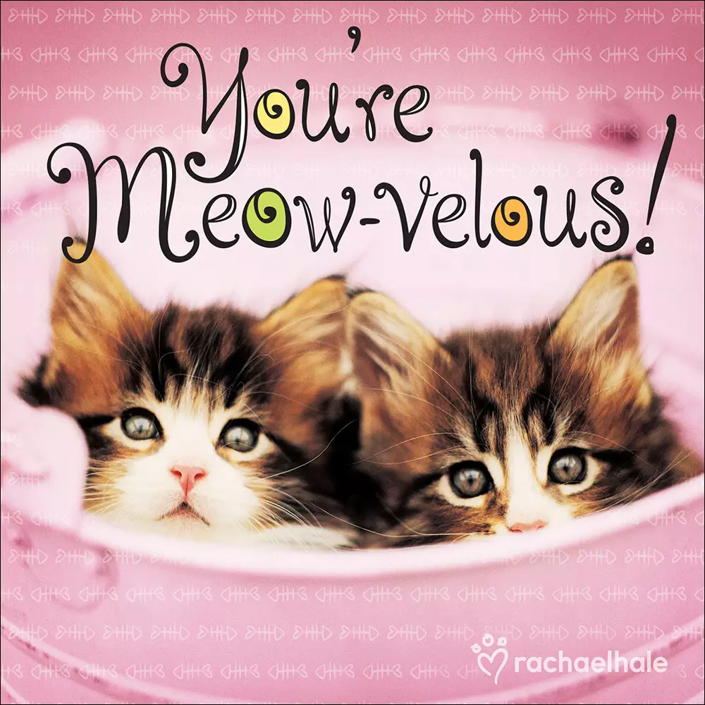 You're Meow-velous!
