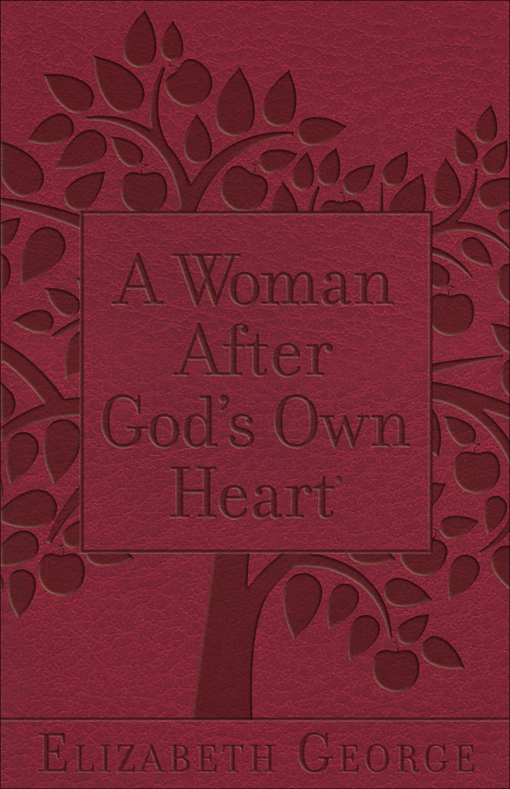 a woman after gods own heart pdf free download