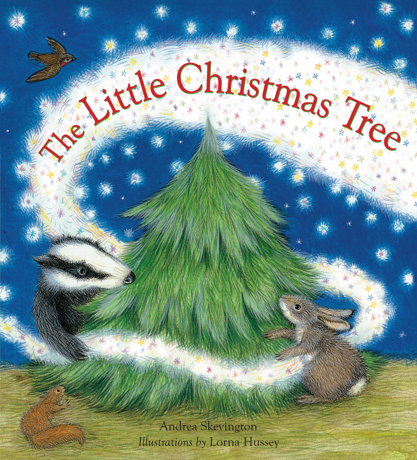 Little Christmas Tree Plant
