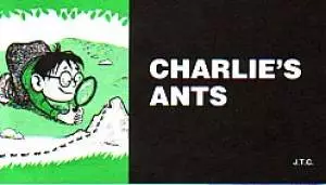 Charlies Ants - Pack of 25