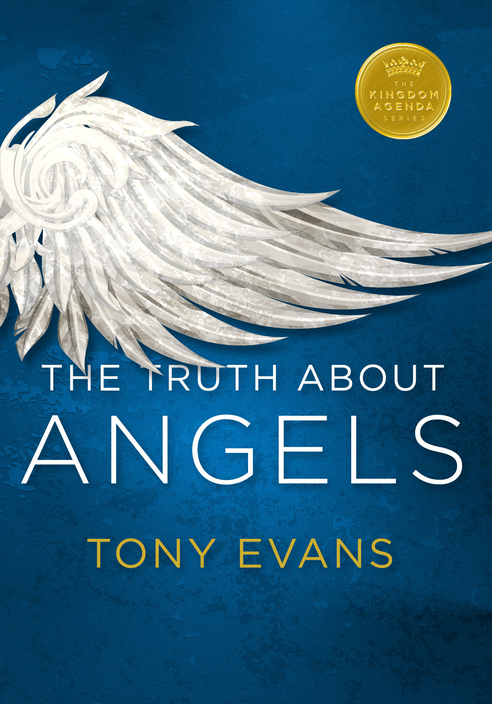 The Truth About Angels by Evans, Tony  Fast Delivery at Eden