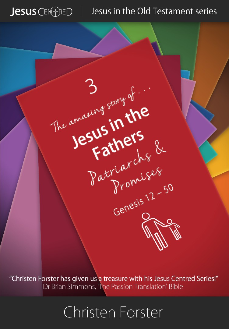 Jin OT Volume 3: Jesus In The Fathers