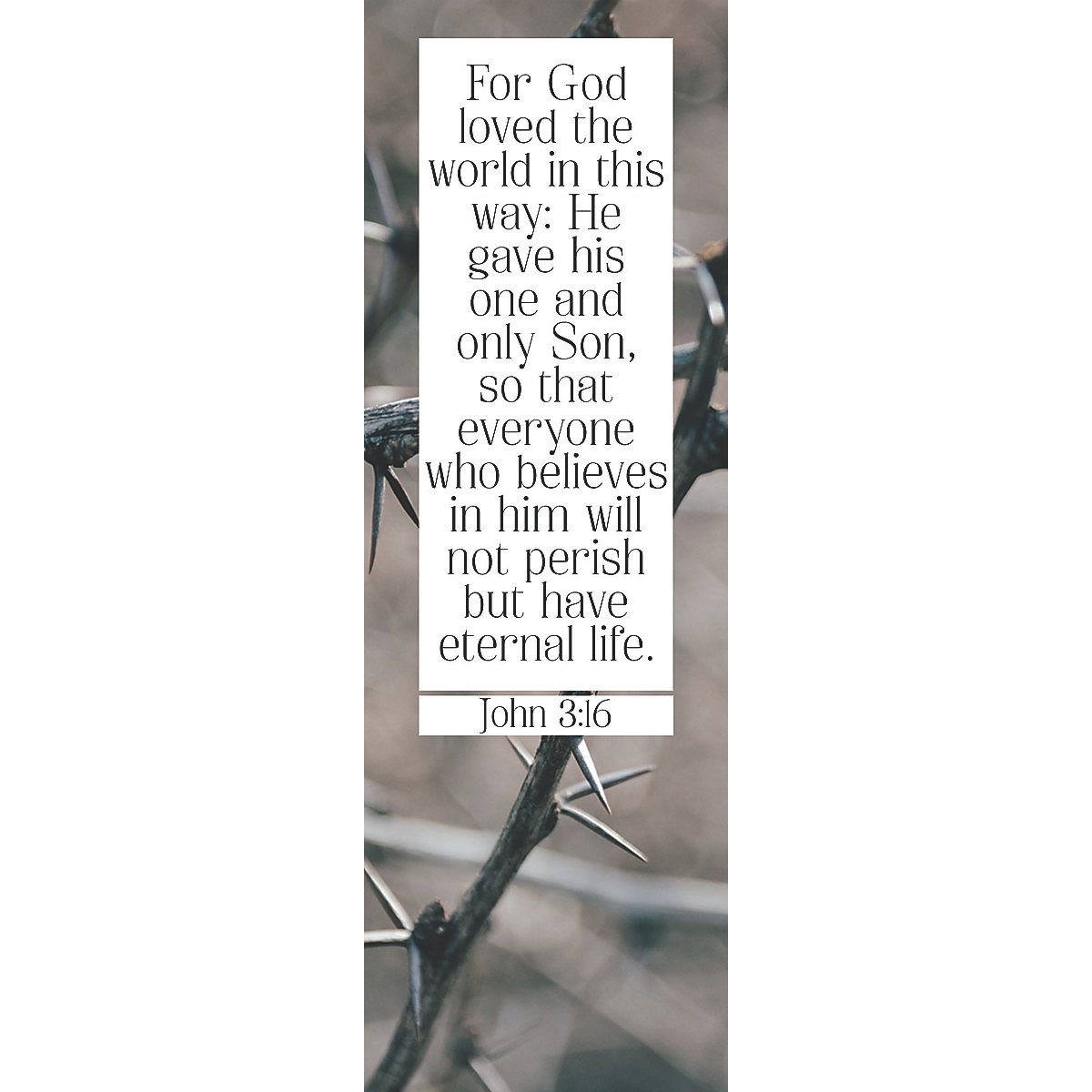 Bookmark-For God So Loved The World (John 3:16) (Pack Of 25)