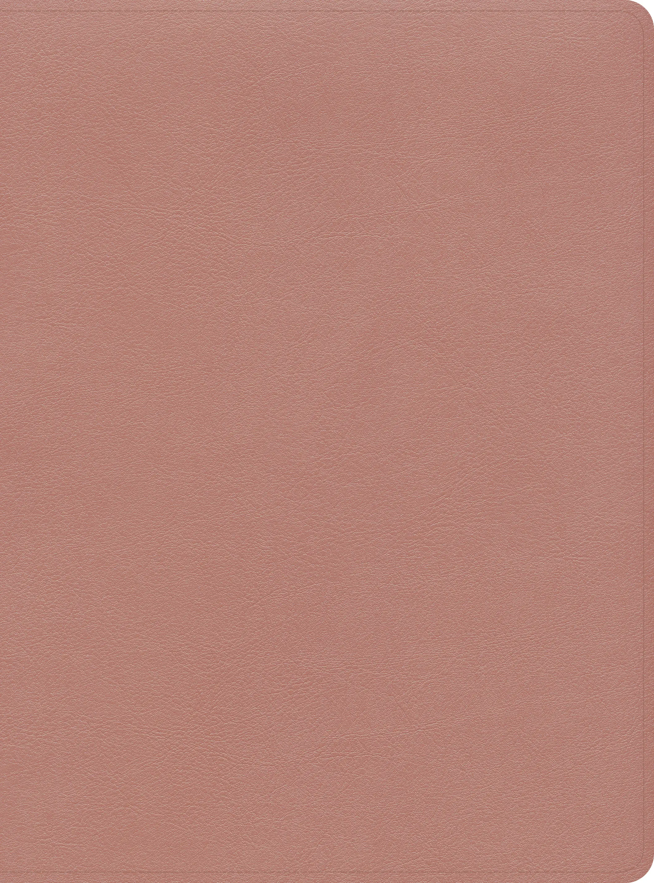 CSB Study Bible, Rose Gold LeatherTouch: Free Delivery at Eden.co.uk