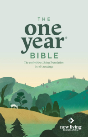 NLT One Year Devotional Bible Red Paperback Daily Readings By Tyndale