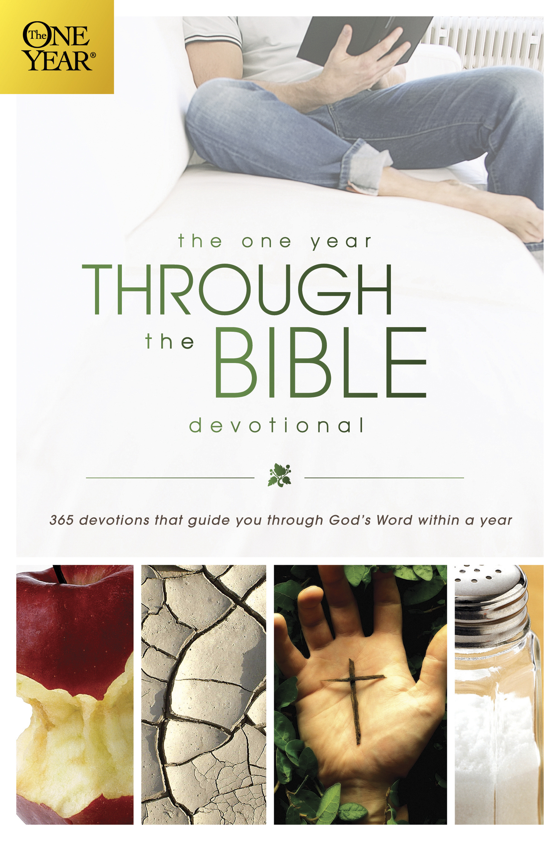 One Year Through The Bible Devotional By David R Veerman (Paperback) One Year Through The Bible Devotional By David R Veerman (Paperback)