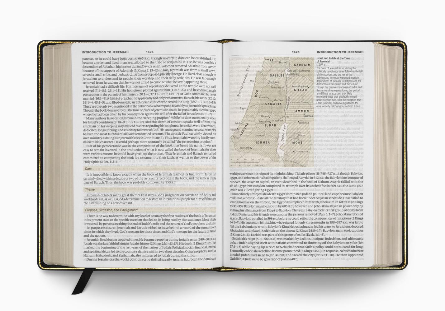 ESV Study Bible, Large Print, Genuine Leather, 9781433544316 Eden.co.uk