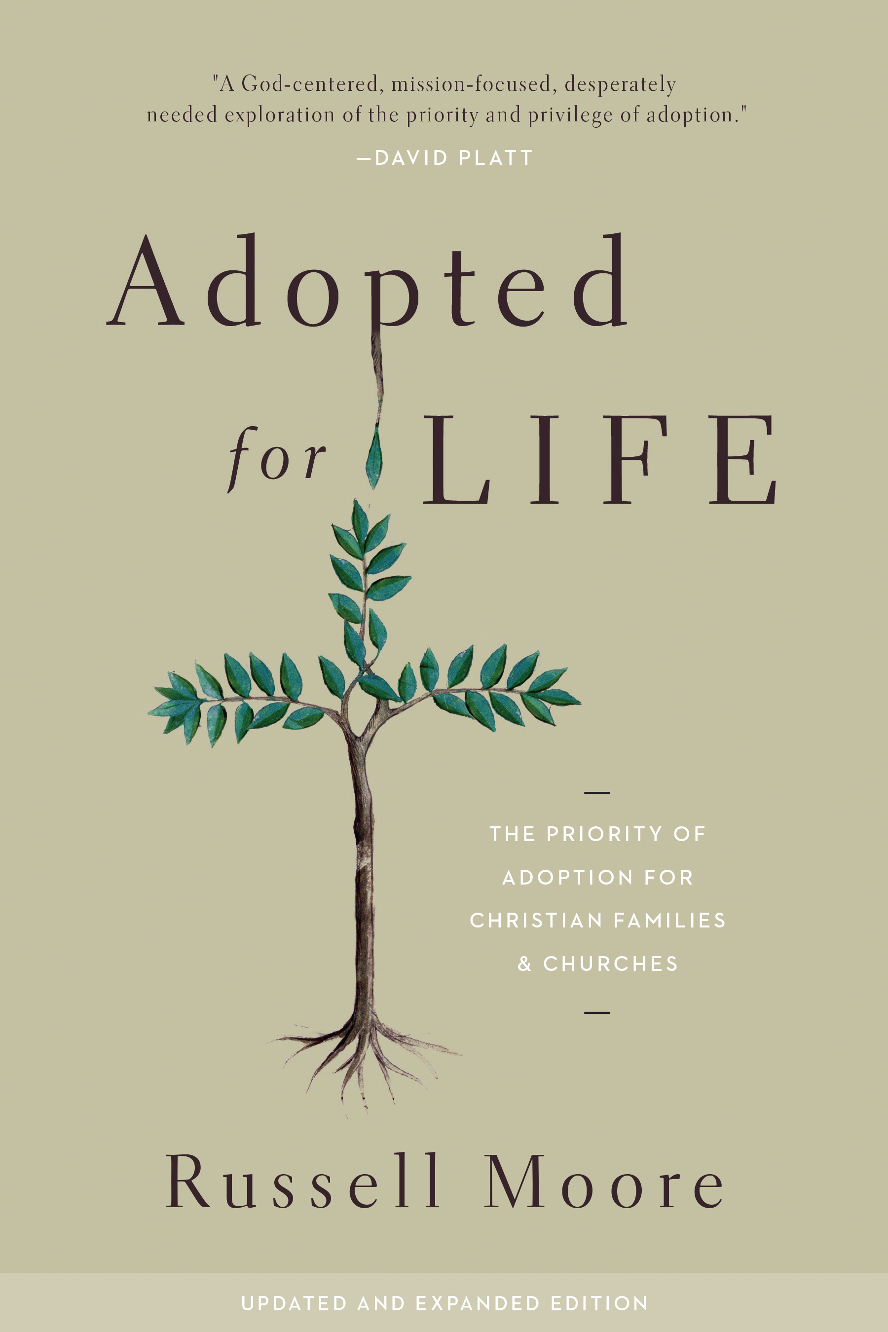Adopted for Life (Updated and Expanded Edition)