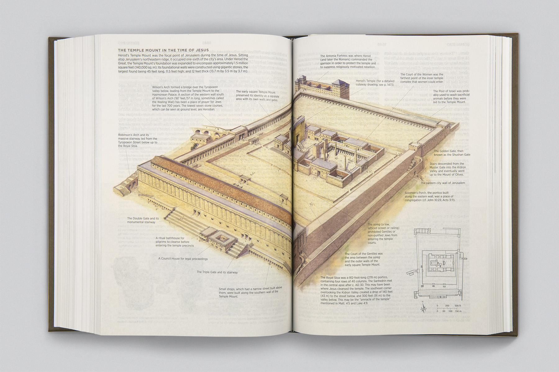 ESV Archaeology Study Bible (9781433550409) Free Delivery Eden.co.uk